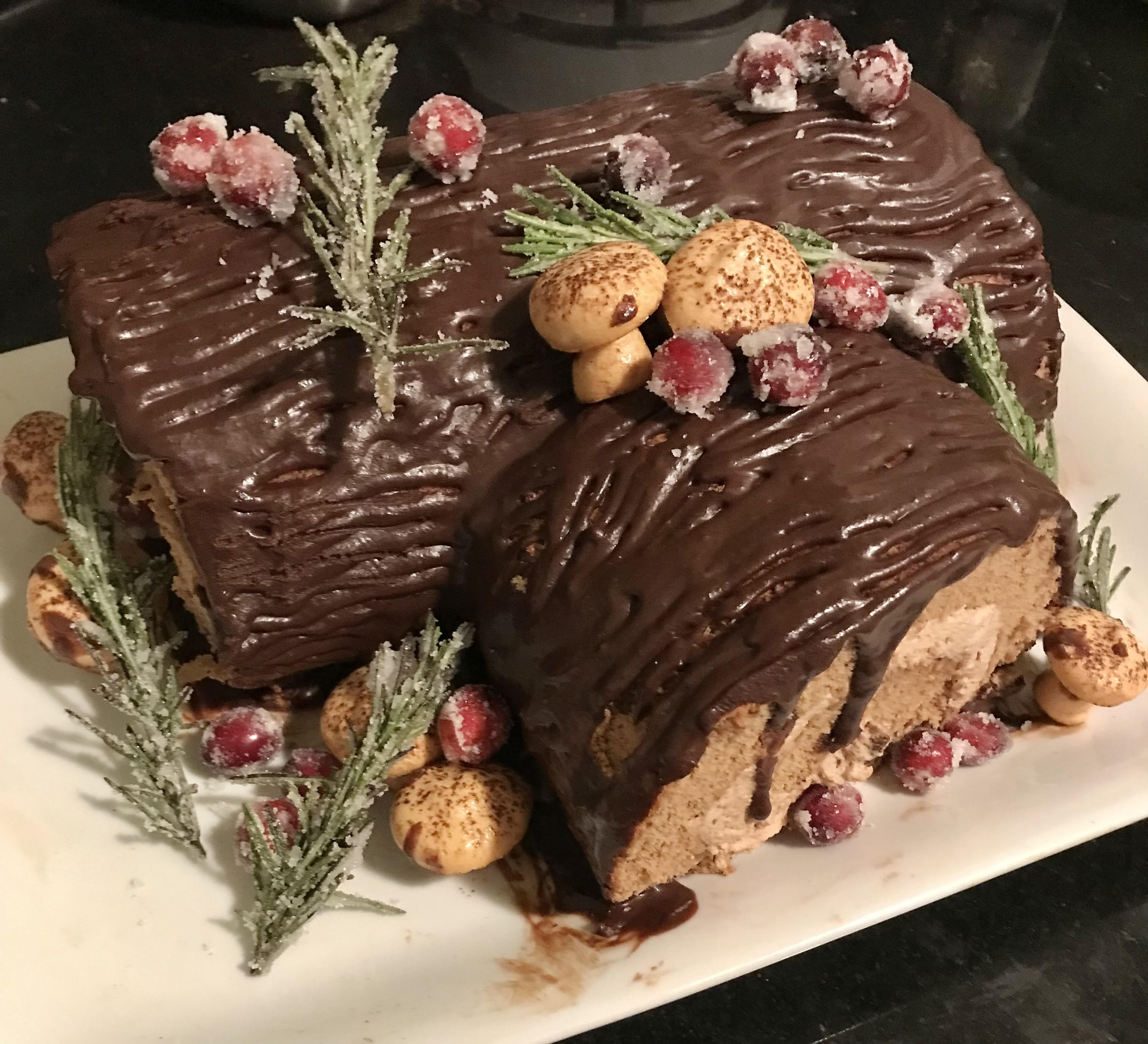 Yuletide on the Forest Floor